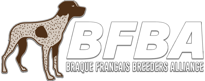 Braque Francais Breeders Alliance